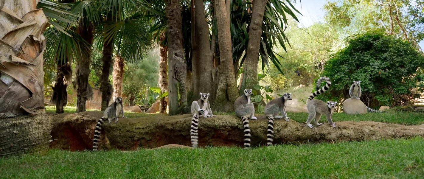parc biologique de Fuengirola